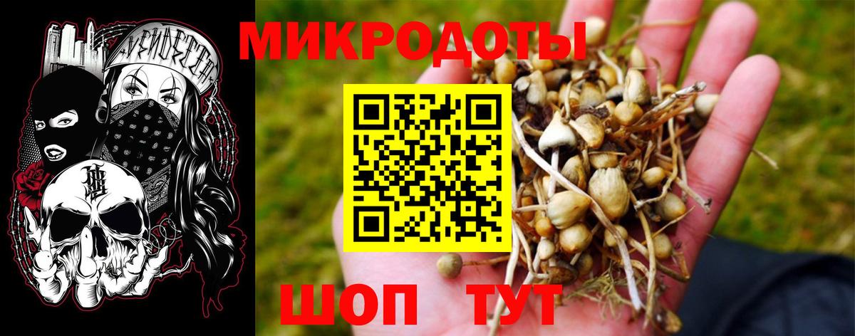 Псилоцибиновые грибы Cubensis Тюмень