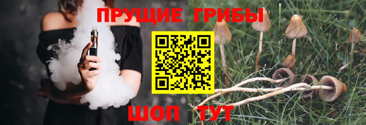 Псилоцибиновые грибы Magic Shrooms  Псилоцибиновые грибы MAGIC MUSHROOMS  Тюмень  Вход с VPN 